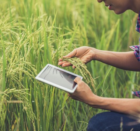 Digital Future Agri Agro