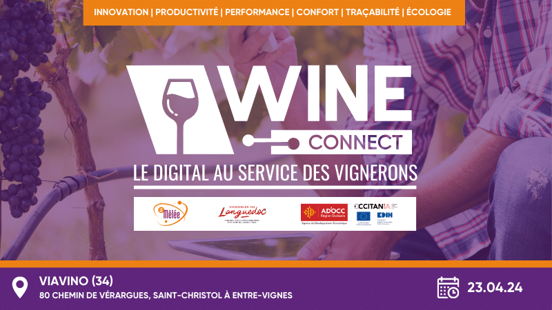 Wine Connect